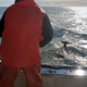 Illustration for article titled Stunned Fishermen Rescue a Deer Swimming 5 Miles off the Coast of Maine